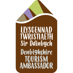 Denbighshire Ambassador Bronze Level