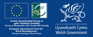 European Agricultural Fund for Rural Development - Cronfa Amaethyddol Ewrop ar gyfer Datblygu Gwledig
